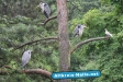 Zoo Osnabrück