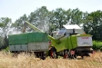 Sommer 2009