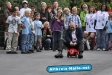 KÃ¼nsebecker Sommerfest 2009