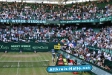 RÃ¼ckblick Gerry Weber Open vom 11.06.2010