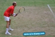 gerry-weber-open-2010_1022