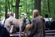 Waldgottesdienst fÃ¼r Mensch und Tier in der Bielefelder-Senne