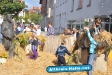 Haller Herbst