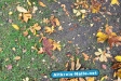 Herbst 2009