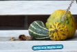 Herbst 2009