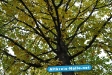 Herbst 2009