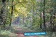 Herbst 2009