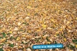 Herbst 2009