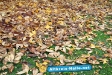 Herbst 2009