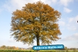 Herbst 2009
