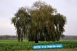 Herbst 2009