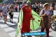 Carnival der Kulturen in Bielefeld