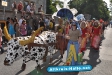 Carnival der Kulturen in Bielefeld