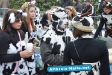 Karneval Harsewinkel 2010