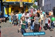 Stadtfest Haller Willem 2011