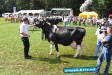 Tag der Landwirtschaft Tatenhausen 2011