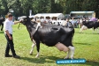 Tag der Landwirtschaft Tatenhausen 2011