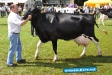 Tag der Landwirtschaft Tatenhausen 2011