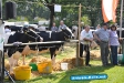 Tag der Landwirtschaft Tatenhausen 2011