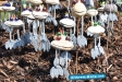 Tag der Landwirtschaft Tatenhausen 2011