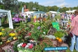 Tag der Landwirtschaft Tatenhausen 2011