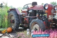 Tag der Landwirtschaft Tatenhausen