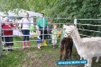 Tag der Landwirtschaft Tatenhausen 2011