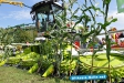 tag-der-landwirtschaft-2011_65