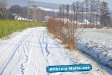 Winter 2009/2010