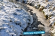 Winter 2009/2010