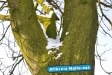 Winter 2009/2010
