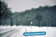 Winter 2009/2010