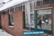 Winter 2009/2010
