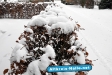 winter2009-2010-26