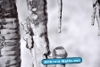 Winter 2009/2010