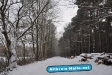 Winter 2009/2010