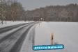Winter 2009/2010