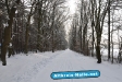 Winter 2009/2010