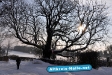 Winter 2009/2010