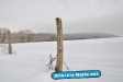 Winter 2009/2010