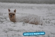 Winter 2009/2010