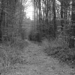 Grausiger Fund am Hilterweg