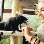 Das Katzenhaus ist ausgebucht 