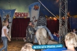 Circus Atlantik zu Gast in Halle Westf.