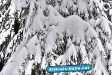 Schnee & Eis Weihnachten 2010