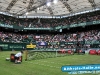 Gerry Weber Open 2009