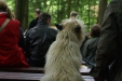 Waldgottesdienst fÃ¼r Mensch und Tier in der Bielefelder-Senne