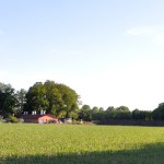 Bau der Biogasanlage in Steinhagen (Foto: Altkreis-Halle.Net)