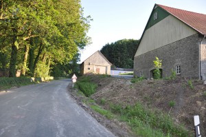 Richtung Halle über den Hapkenberg, Theenhausener Strasse "L921"  an der Ecke Diekstraße Richtung Borgholzhausen "L785" (Foto: Altkreis-Halle)