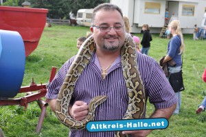 Zirkus Direktor Karl Heinz Köllner war erstaunt über den Mut der Haller die sich Würgeschlangen um den Hals legten. 